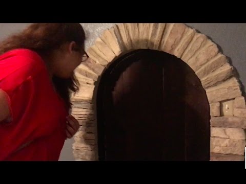 MY COUSIN IS FINALLY HERE AND OPENS THE SECRET DOOR!!!