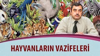 Mustafa KARAMAN - Hayvanların vazifeleri