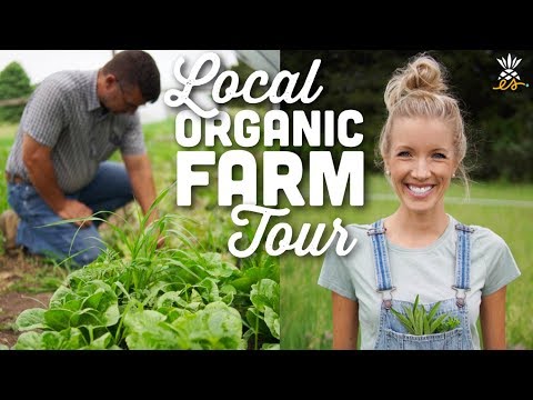 download lagu mp3 mp4 Local Farms, download lagu Local Farms gratis, unduh video klip Local Farms