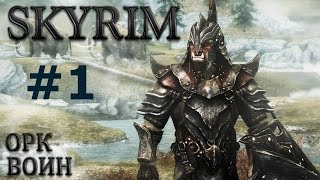Воин Скайрима (TES V:Skyrim) #1 На волю! В пампасы!