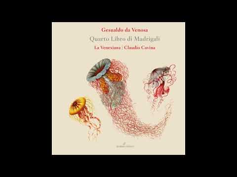 Carlo Gesualdo (1566-1613) - Il Quarto Libro di Madrigali [La Venexiana, Claudio Cavina]