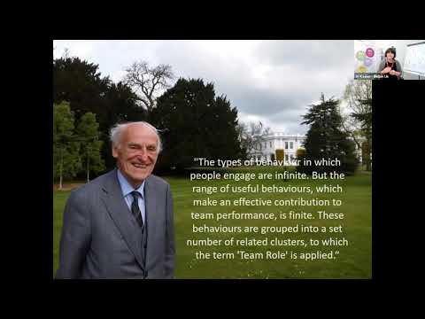 Webinar: The Belbin Individual Report in detail