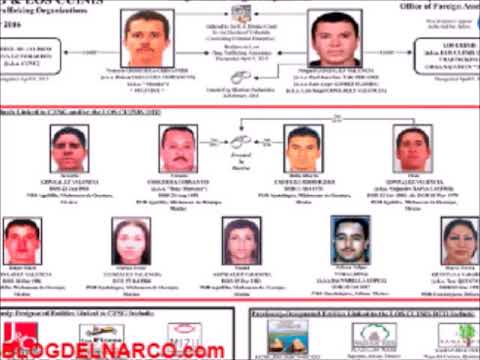 Los Cuinis, De los cartel más rico del narcotráfico que se extienden a Europa, y Asia