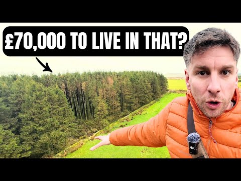 Can't Afford a House? Buy a Forest Instead 