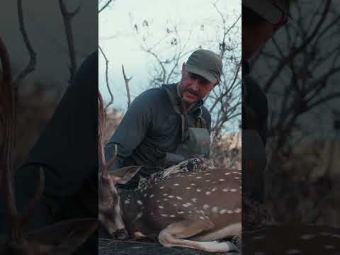 "Before They See" is live now! Follow Trail and Omar on their first Hawaii hunt with @MtnOps