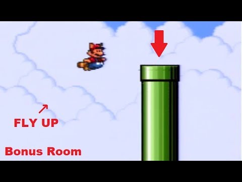 Mario 3 | How to find the Bonus Room in the first level of SMB3