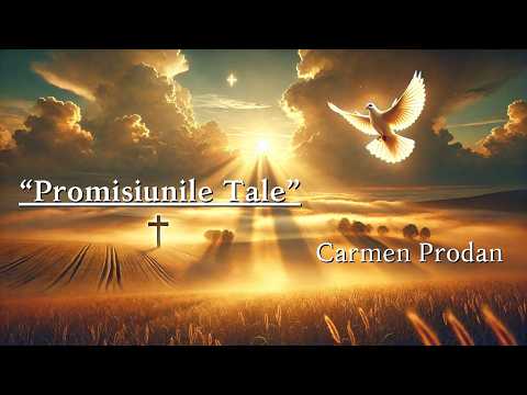 PROMISIUNILE TALE - Carmen Prodan - Vol. 11 NOU 2025