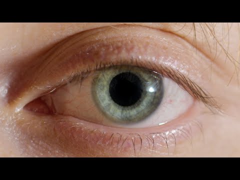 JACK LARSEN - VANITY