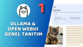 Ollama & Open WebUI - Ücretsiz Metin Tabanlı Yapay Zeka Uygulaması