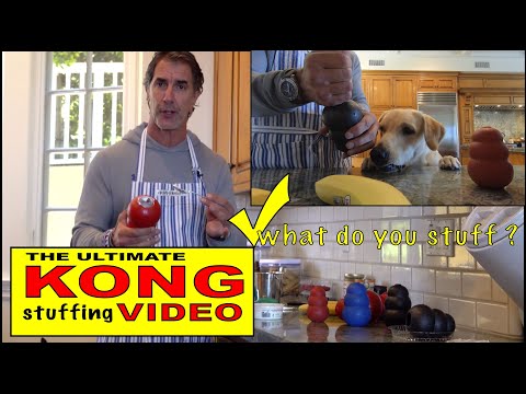 download lagu mp3 mp4 Kong Recipes, download lagu Kong Recipes gratis, unduh video klip Kong Recipes
