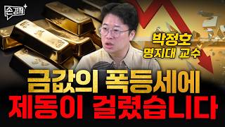 금값의 폭등세에 제동이 걸렸습니다 - 박정호 명지대 교수