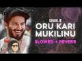 Oru Kari Mukilinu Charlie Slowed Reverb Malayalam Slowedandreverb Lofimusic Lofi