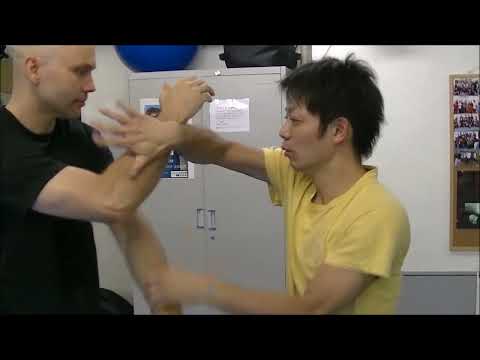 詠春拳　スパーリング(先生と)WING CHUN Sparring