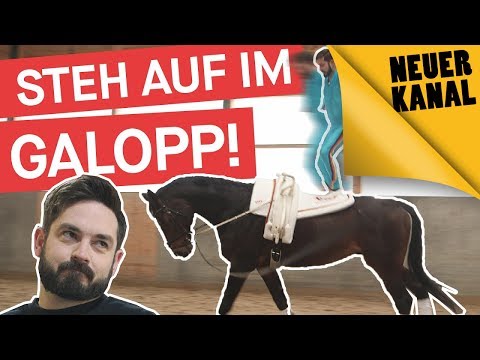 Challenge "Das schaffst du nie!": Voltigiere - und steh im Galopp auf!