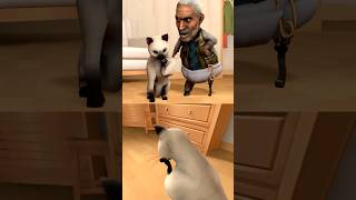 Кот vs Гномик ЧЕЛЛЕНДЖ 😂 Роблокс Мем #gmod #animation #memes
