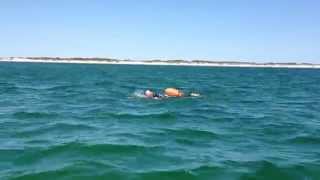 preview picture of video 'Swimming around Anholt, July 11, 2013. Part 2'