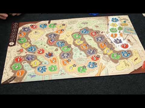 KuZOOka (Pegasus Spiele) / Essen 2022 / Herbstneuheit 2022