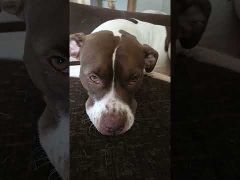 pls check out our channel, only 3 months old, pls help us on our way to grow by subscribing. xx