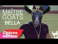 Maitre Goats (Gims) - Bella (Chèvre edition ...