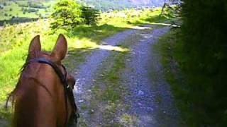 preview picture of video 'Helmet Cam - Horse Riding in Beddgelert Forest'
