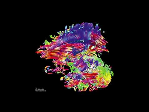 Me Succeeds – Into Randomness