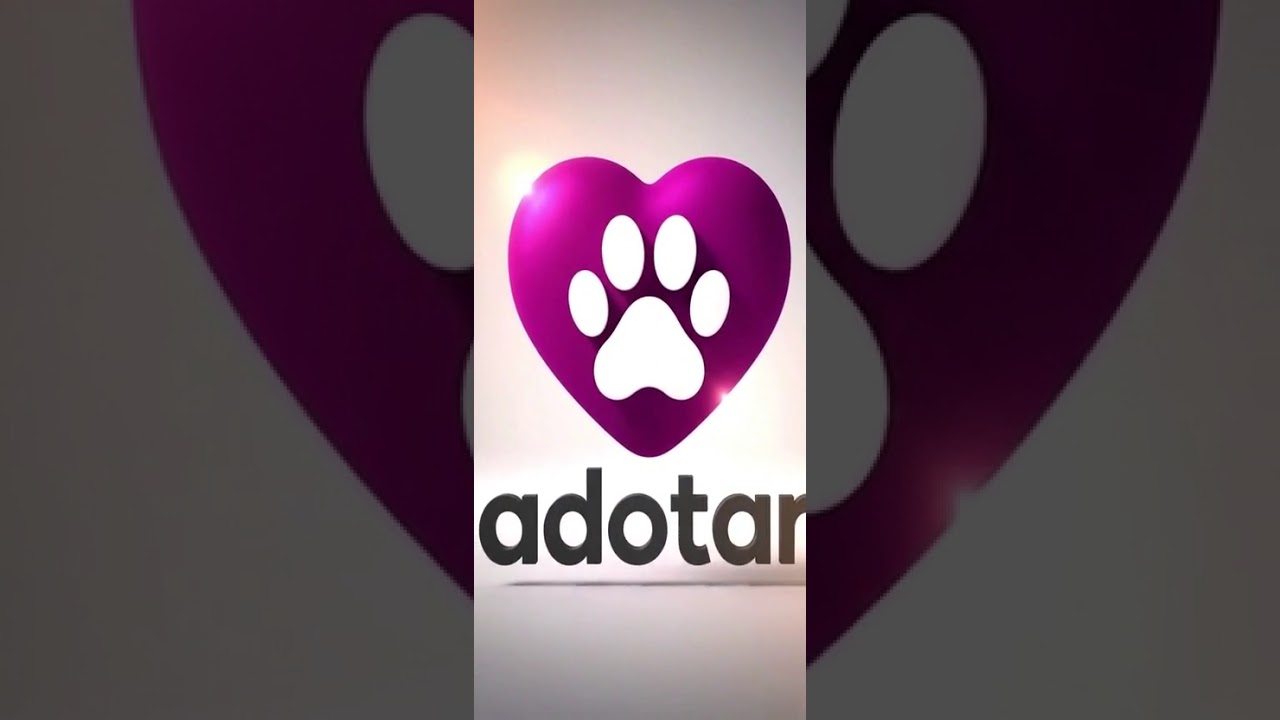 Cachorro raça SRD-ViraLata idade 5 anos nome Huanna