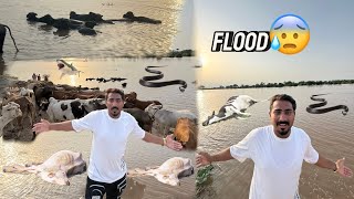 Plz Help Hamare Village Mein Silab A Gaya 😭😭