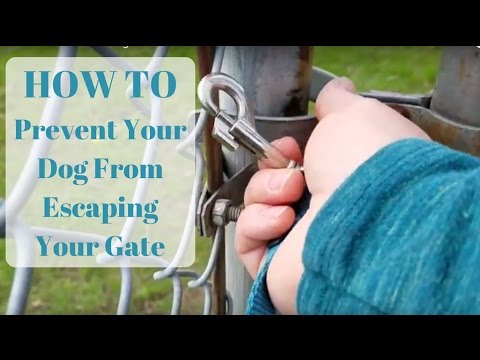 HOW TO Stop Your Dog From Running Away-Securing Gates