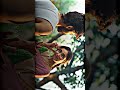 Tujhe Jeet Jeet Haru EFX Status Slowed Reverb 4K Status Kailash Kher Shorts Viral