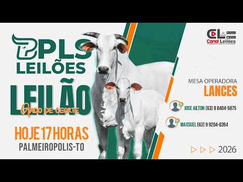 LEILÃO GADO DE CORTE PLS LEILÕES | PALMEIRÓPOLIS-TO 17/08/2026