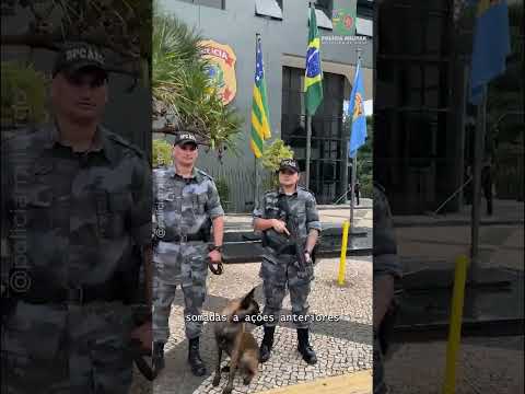 PMGO APOIA A FICCO/GO NA OPERAÇÃO SERRA DAS GALÉS