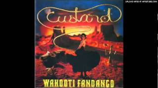 Music video thumbnail preview for Custard - Bye Bye Birdie by Custard