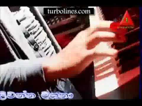 all right lunu wila pare song