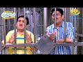Chalu Pandey Arrests Jetha And Taarak Taarak Mehta Ka Ooltah Chashmah Full Movie
