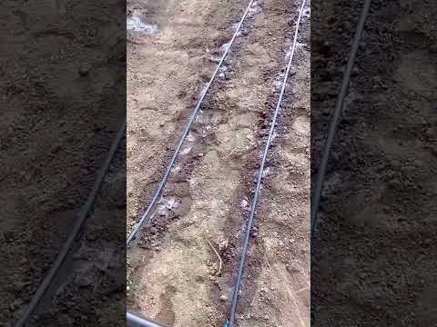 Drip Emitter