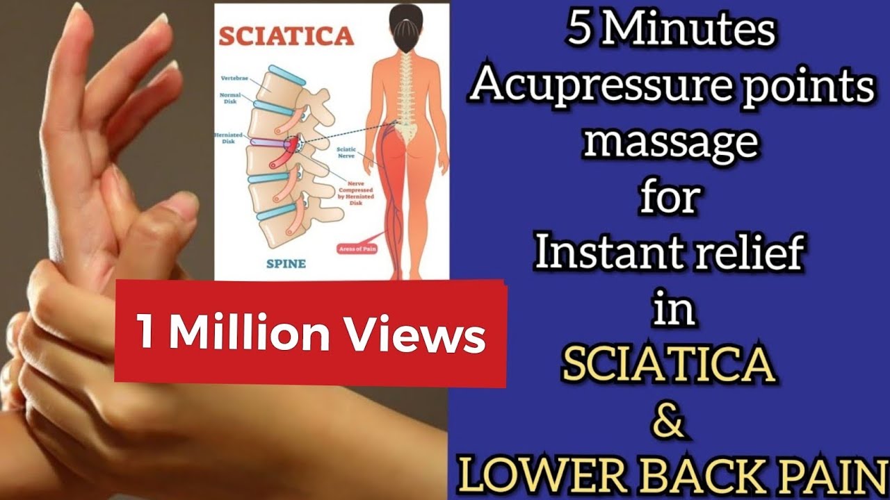 5 Minutes Acupressure point massage to relieve Sciatica and Lower Back Pain | Seed Therapy | Sujok
