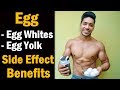 How Many Egg In A Day - Health Benefits & Side Effect