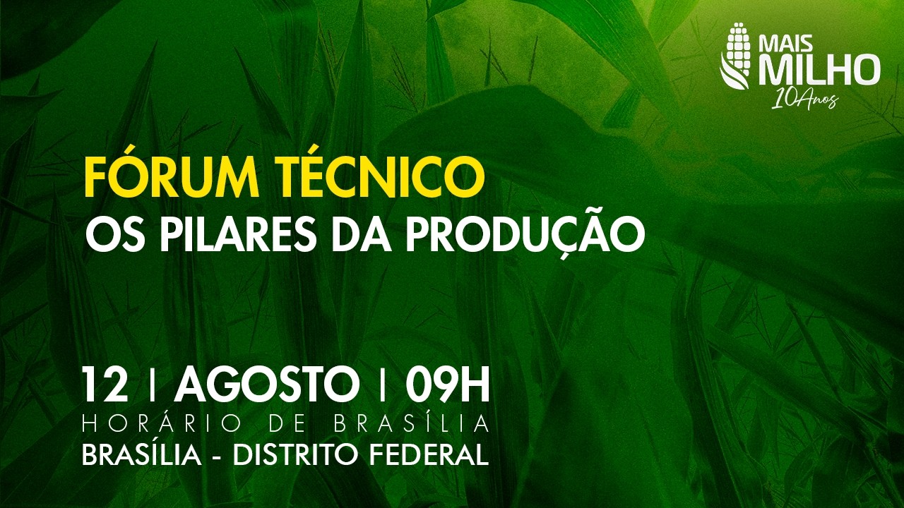 Fórum Mais Milho discute pilares para fortalecer produção de milho