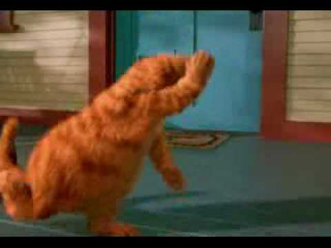 YouTube - Garfield Dancing wooly bully remix!