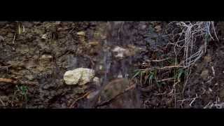 De alegre mayo una alborada fresca-video art and contemporary classical music