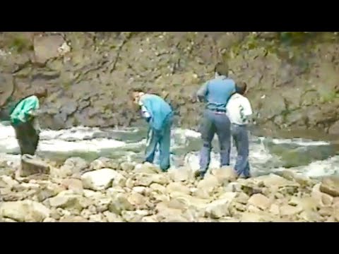 02 08 1997 Лес и горы