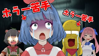 �ۥ顼�����ΥӥӤ�ϼ�ʬ���ӥӤ�ʿͤ�����ȶ����ʤ��⡣��VRchat �ۥ顼��