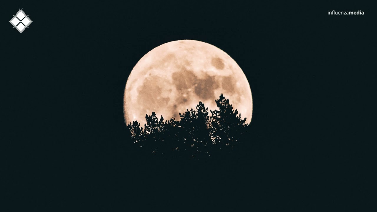 HK Sage - Boundaries