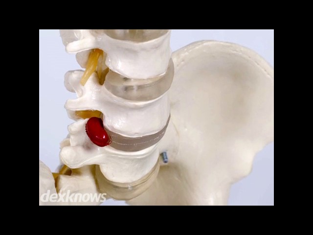 Tutor Chiropractic Health Care - North Aurora, IL