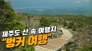 제주도 산 속에 숨어 있는 벙커 여행지! | 빛의 벙커 [국내여행]