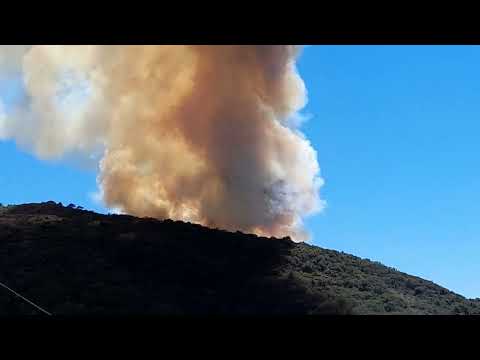 Elba, incendio fra Capo d'Arco e Ortano 2