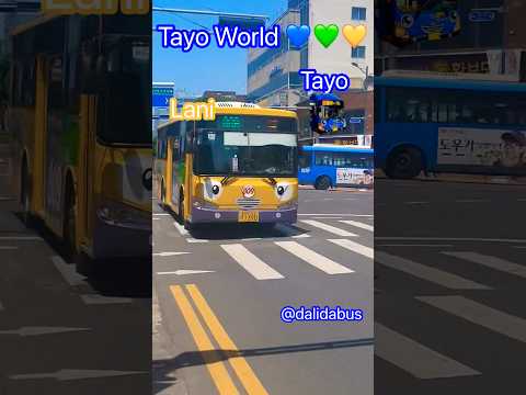 Real Tayo World  💚💚💙💙💛💛  #tayo  #Lani