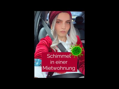 Schimmel in einer Mietwohnung
