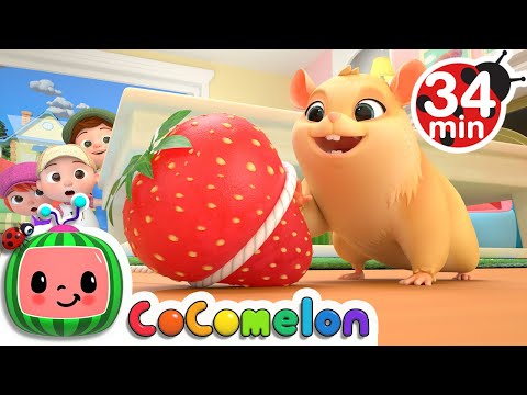 Lost Hamster + More Nursery Rhymes & Kids Songs - CoComelon