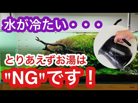 冬に鳥に水やり 水の凍結を防ぐ方法